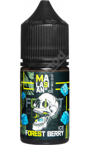 Blast MALASIAN DOUBLE ICE SALT - Forest Berry 30мл