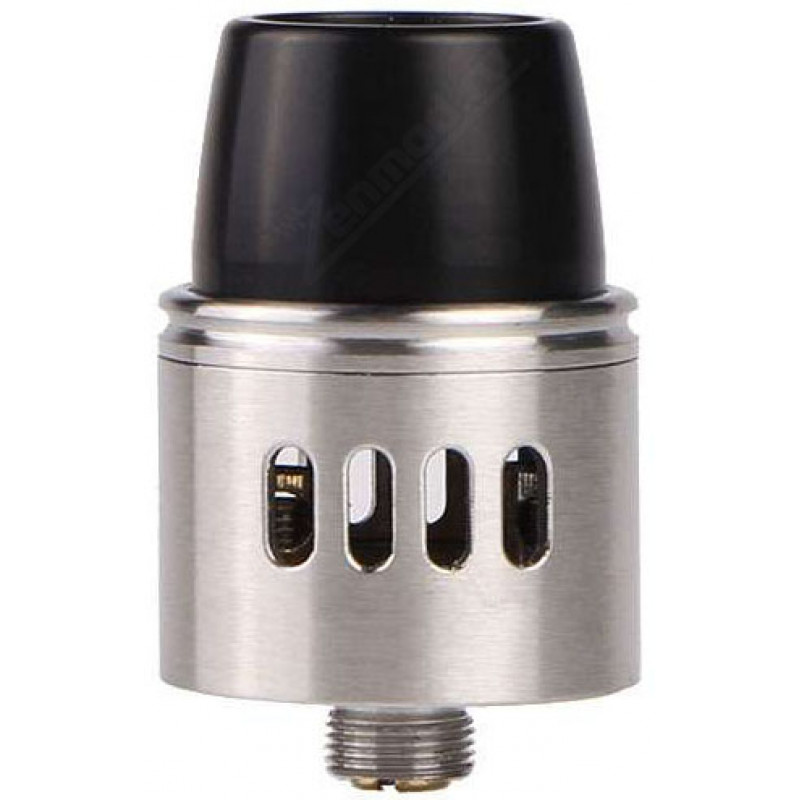 Phenotype L Mini clone SS Фото и внешний вид — Phenotype L Mini clone SS